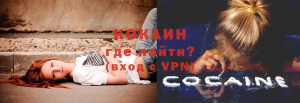 стафф Бородино