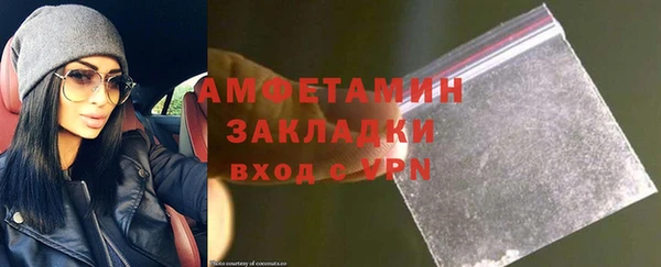 ГАЛЛЮЦИНОГЕННЫЕ ГРИБЫ Верея