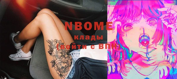 стафф Бородино