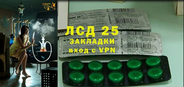 ГАЛЛЮЦИНОГЕННЫЕ ГРИБЫ Верея