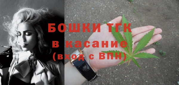 ГАЛЛЮЦИНОГЕННЫЕ ГРИБЫ Верея