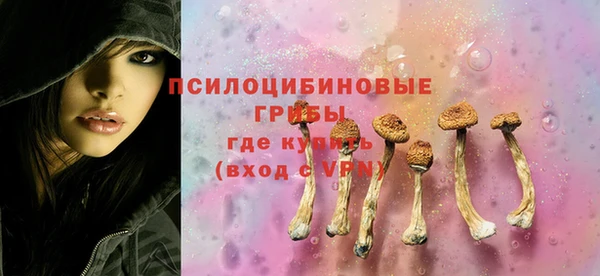 ГАЛЛЮЦИНОГЕННЫЕ ГРИБЫ Верея