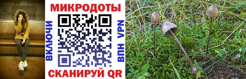 Псилоцибиновые грибы GOLDEN TEACHER  где можно купить   Тосно 